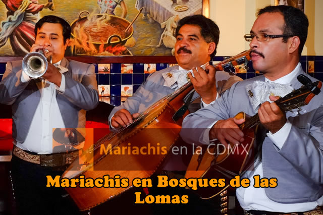 Mariachis en Bosques de las Lomas 