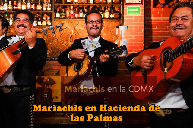 Mariachis en Hacienda de las Palmas 