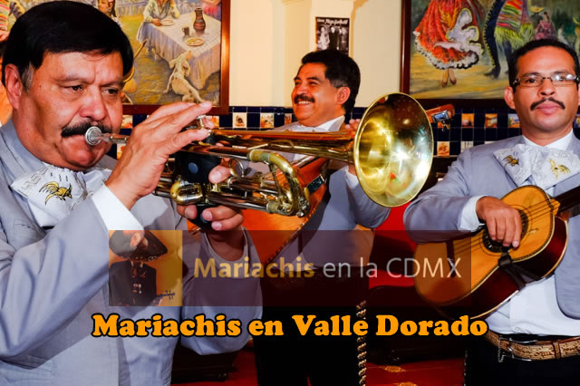 Mariachis en Valle Dorado 