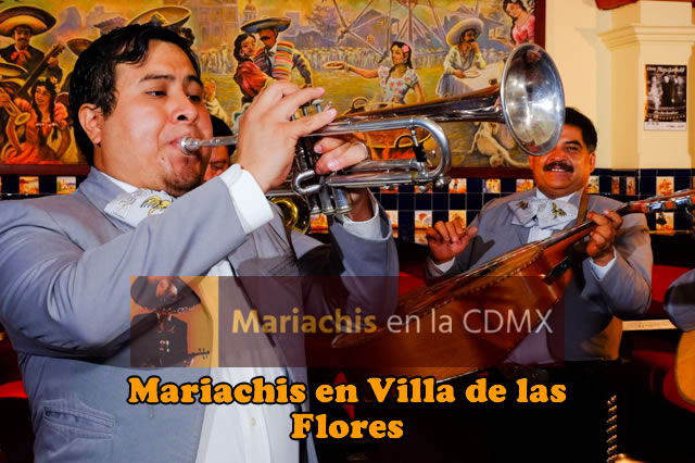 Mariachis en Villa de las Flores 